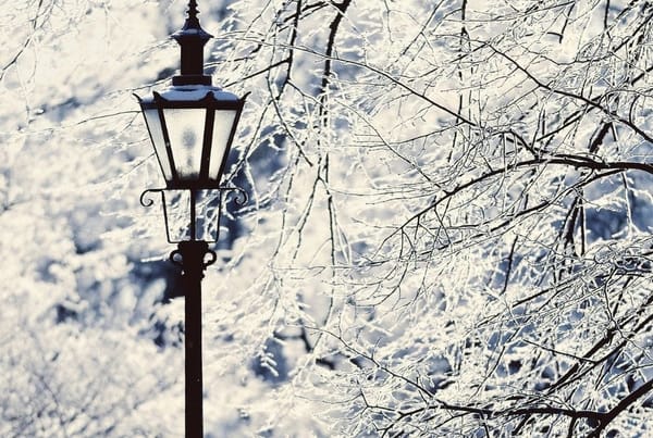 Narnia at All Saints Church | Allesley
