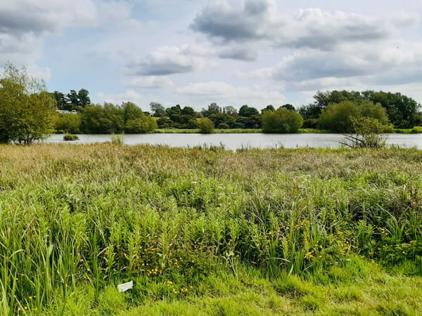 Stoke Floods Nature Reserve