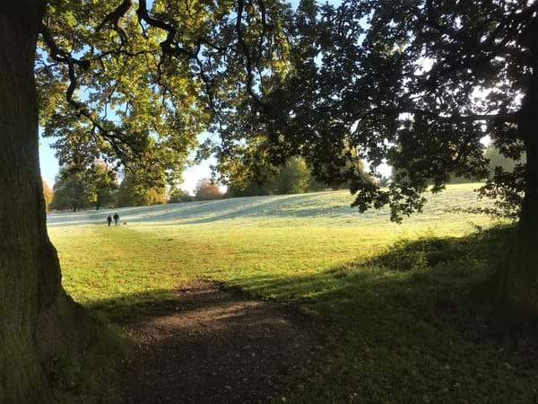 Abbey Fields, Kenilworth