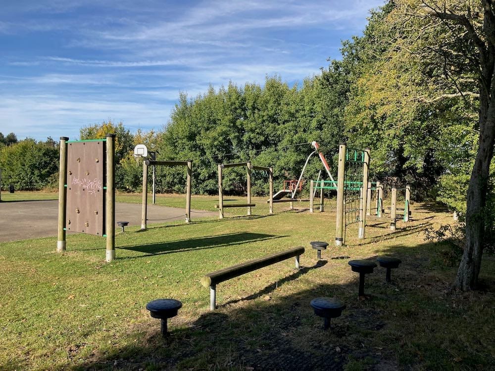 Binley Woods Park and Brandon Wood - image 1