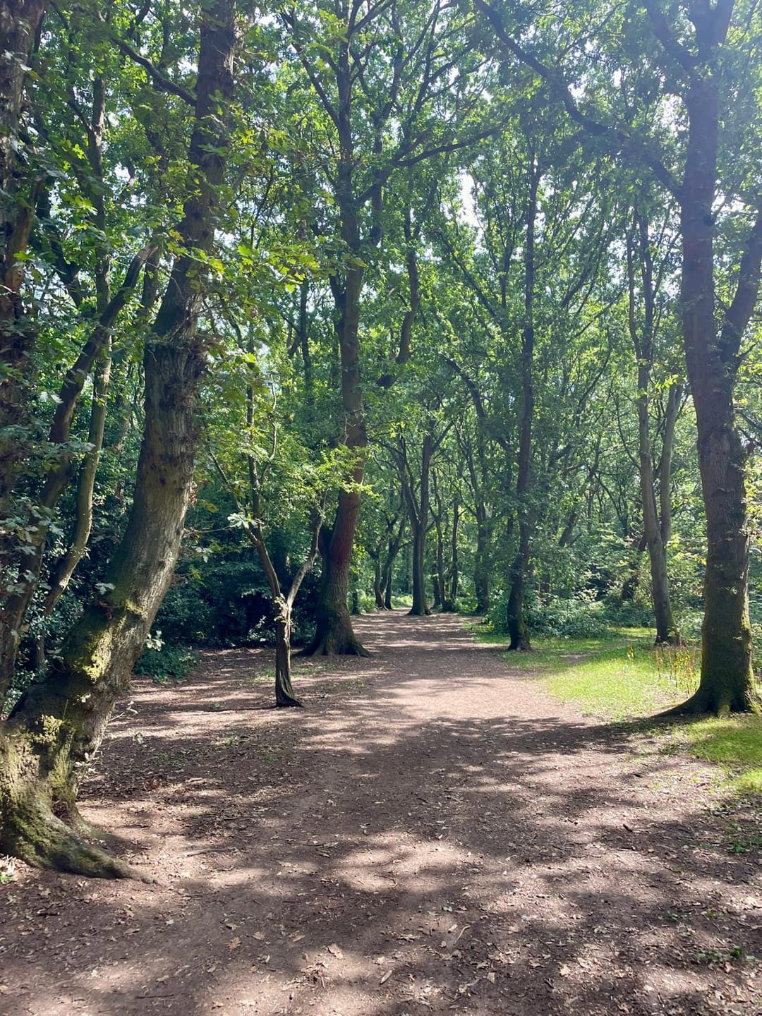Hearsall Common Woodland - image 1