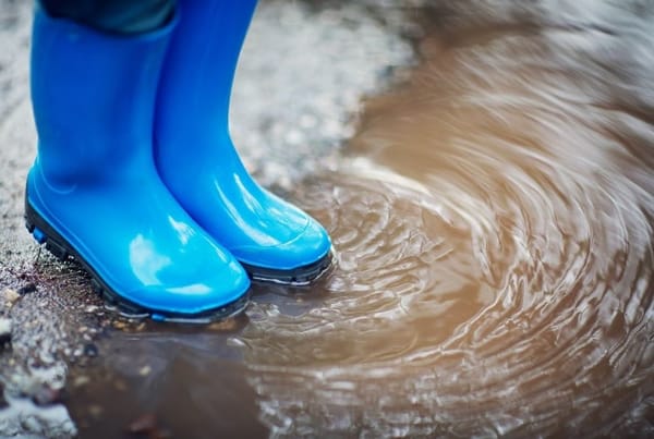 Wellies in the Woods | Binley