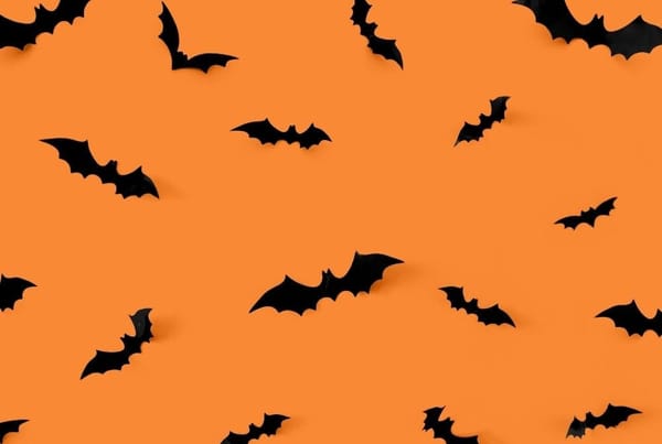 Halloween Fun Day | Barras Heath