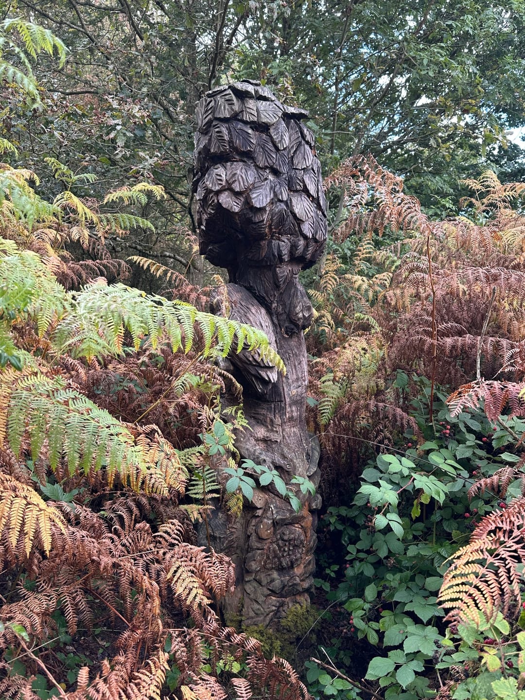 Ryton Wood - image 1