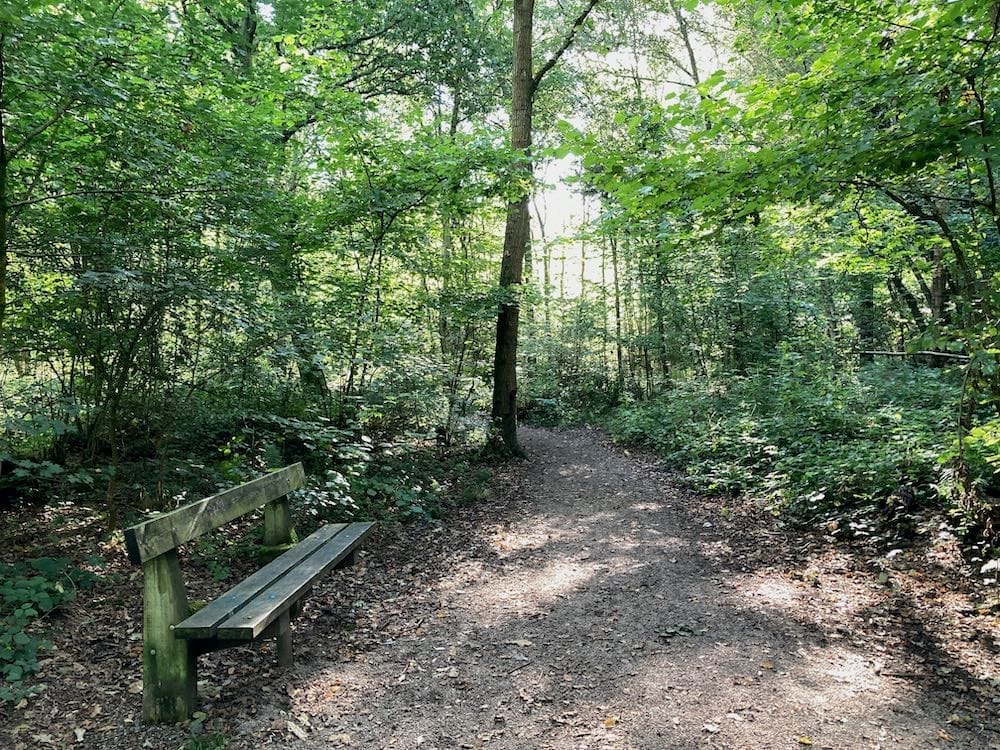 Binley Woods Park and Brandon Wood - image 3