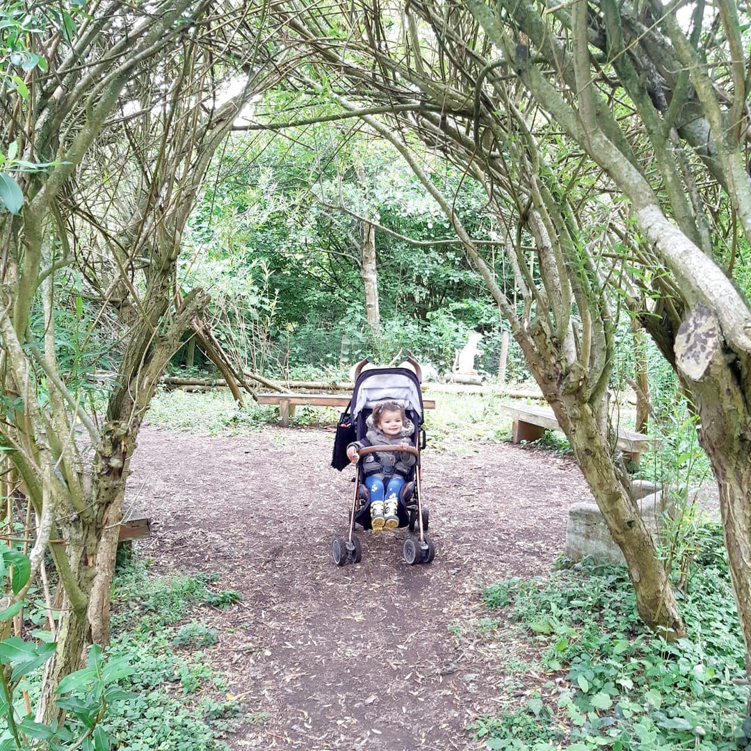 Brandon Marsh Nature Reserve - image 1