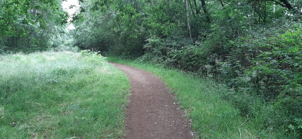 Wappenbury Wood