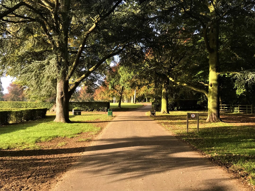 War Memorial Park - image 3