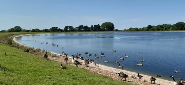 Shustoke Reservoirs