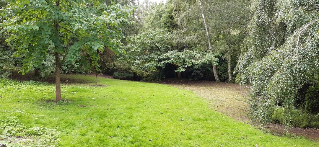 Secret Quarry Garden - image 6
