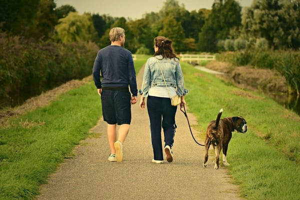 Walks in Willenhall