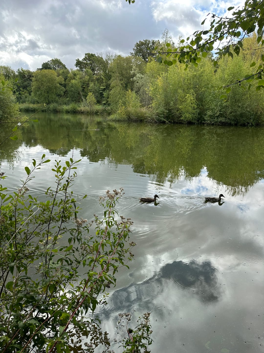 Ryton Pools Country Park - image 2