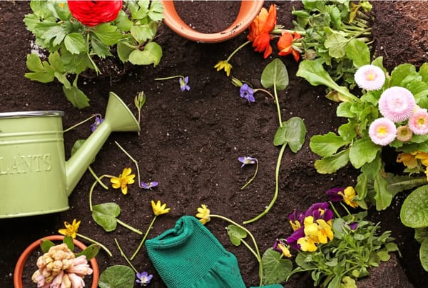 Coventry City Mission Garden Club | Wood End