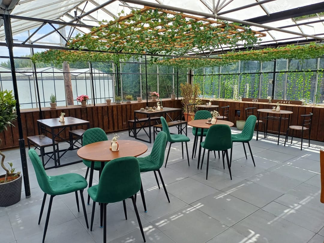 Alf's Café | Kings Hill Nurseries - image 5