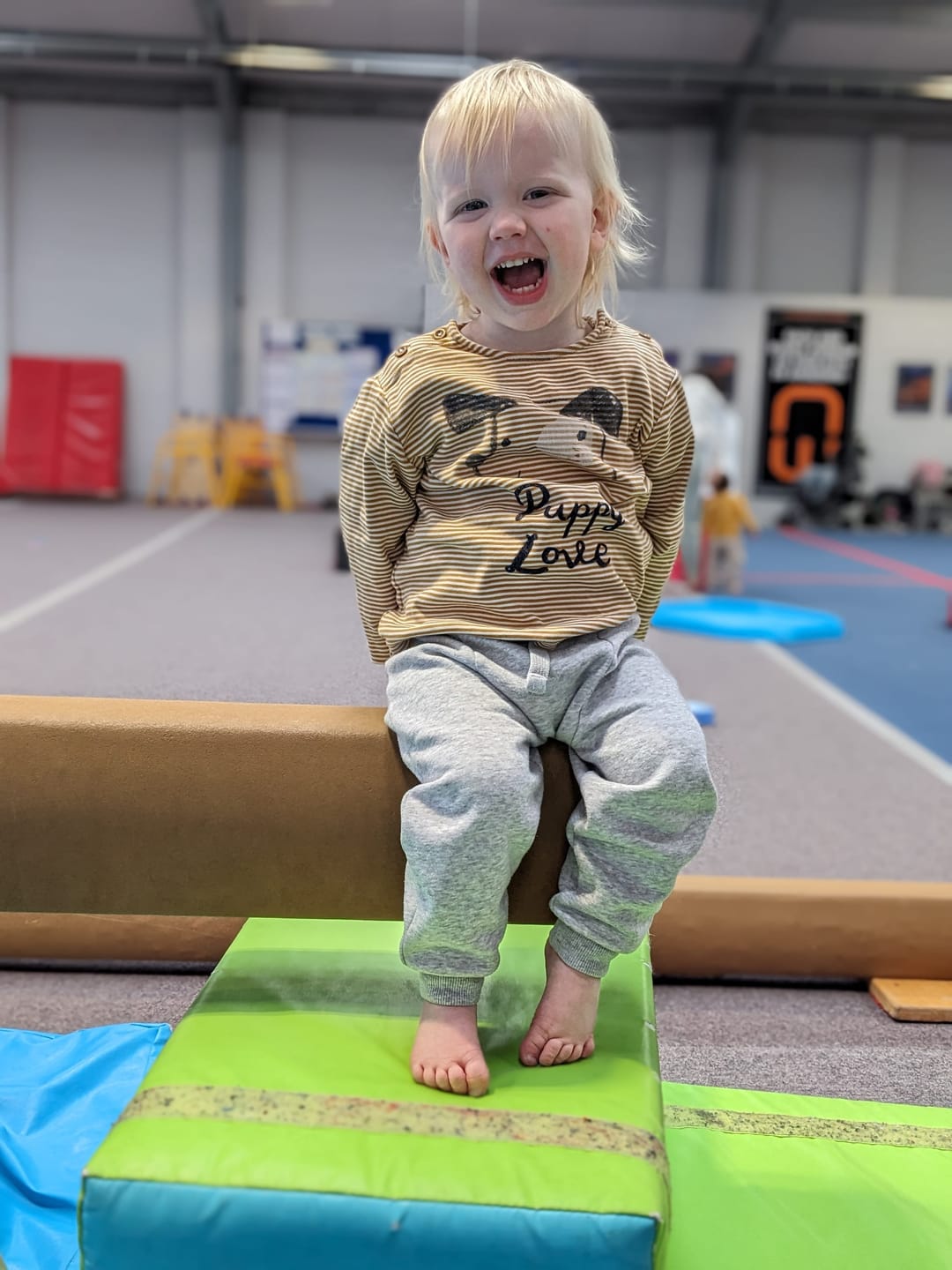 Nile Wilson Pre-School Gymnastics - image 9