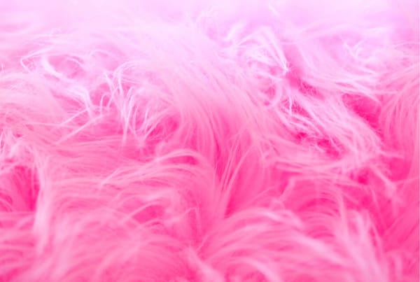 Legally Blonde The Musical | Bedworth