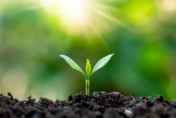 Once Upon A Soil Storytime | Central Library
