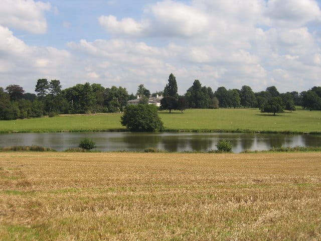 Balsall Common Circular Walk - image 1