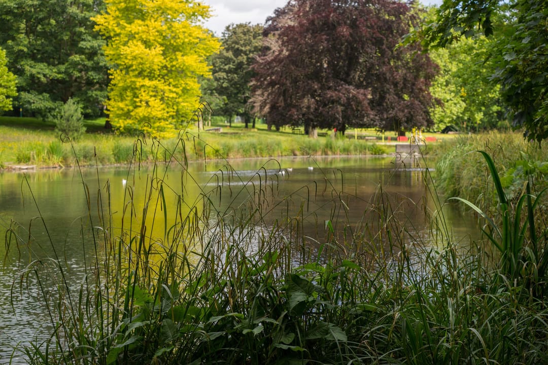 Naul's Mill Park - image 2