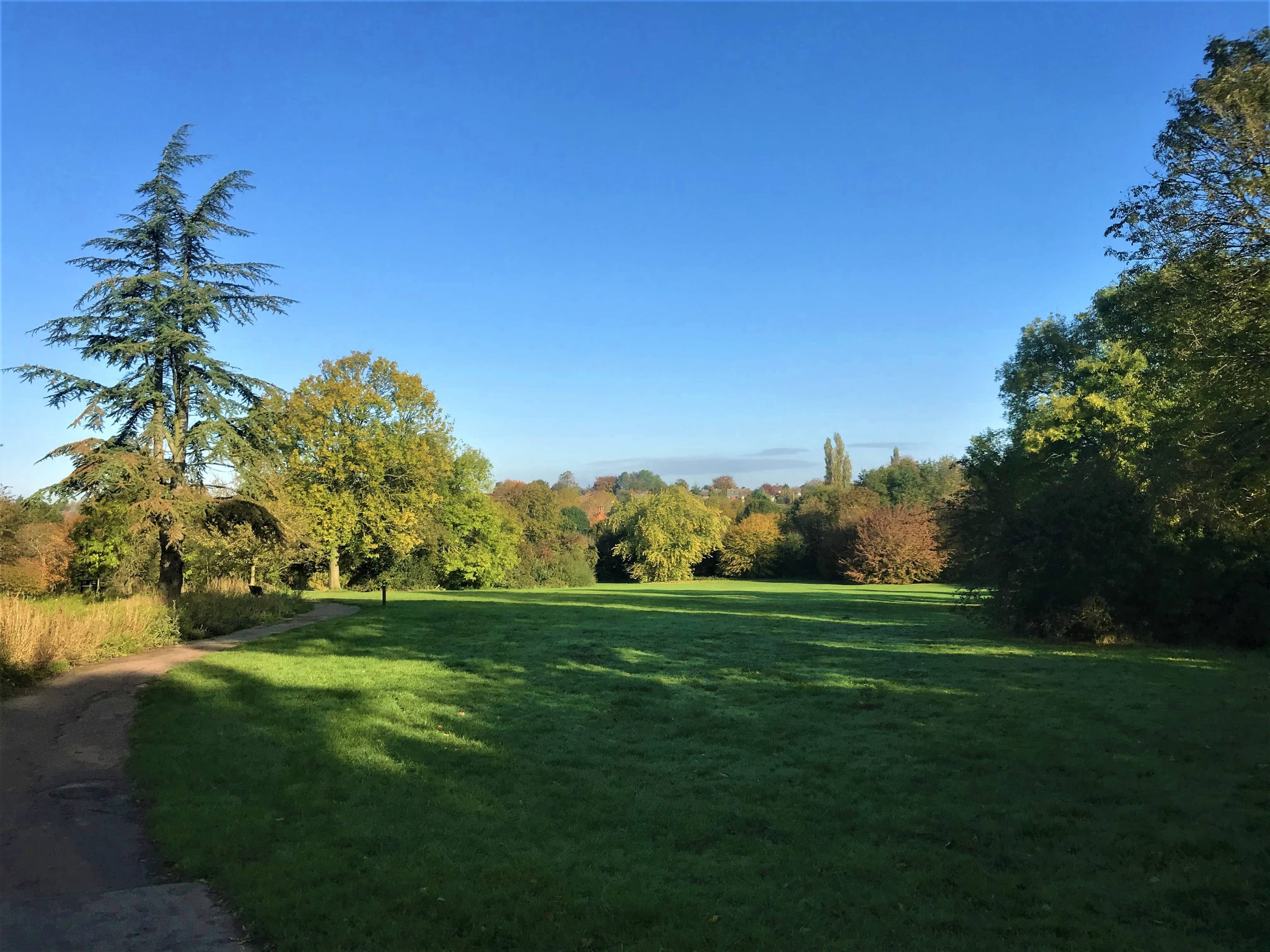 Places to find Conkers in Coventry