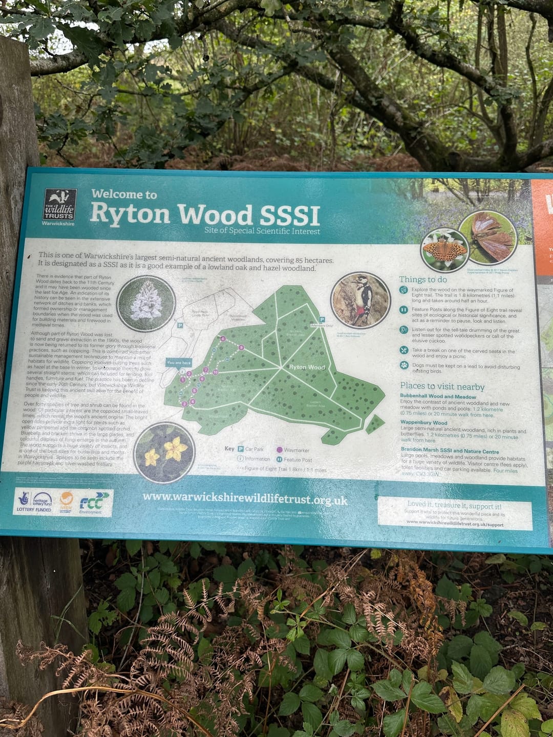 Ryton Wood Figure of Eight Walk - image 1