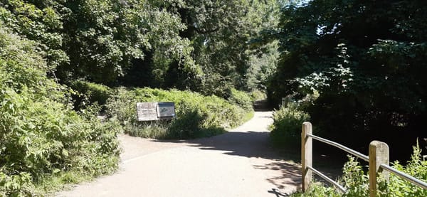 Kenilworth Common