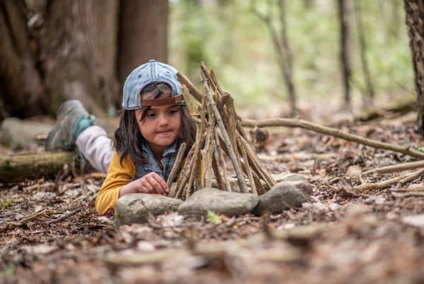 October Half Term at Brandon Marsh