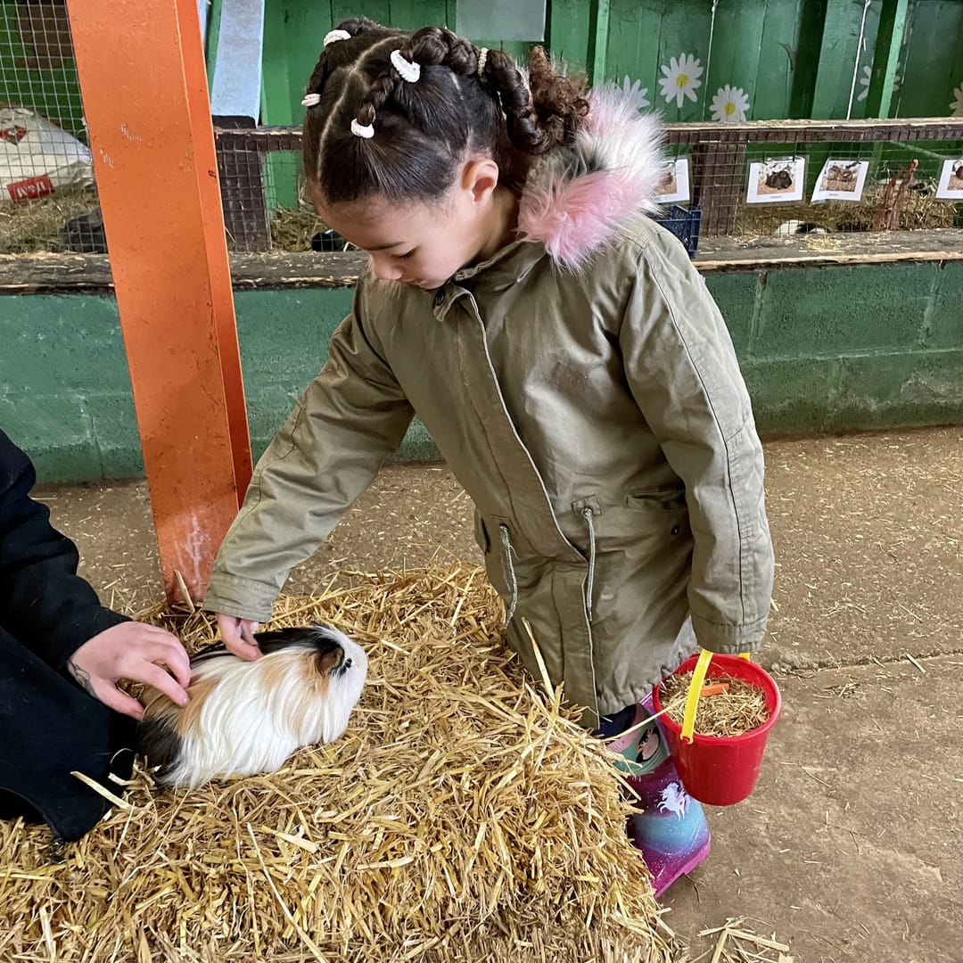 Ash End House Children's Farm | Tamworth - image 1