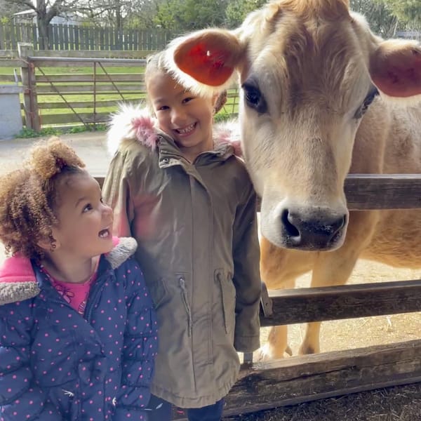 Ash End House Children's Farm | Tamworth