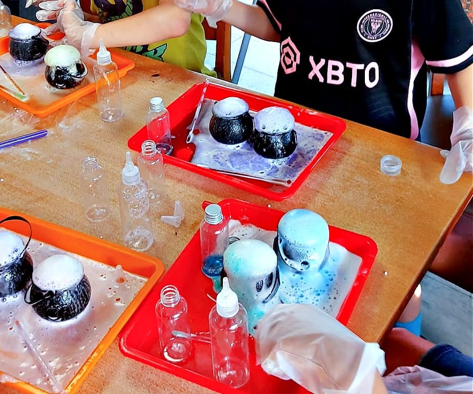 STEM goes Wild | Hands-on Science Parties - image 2