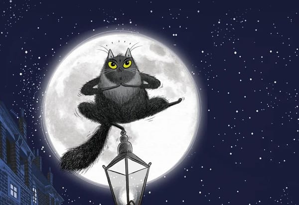 Toto the Ninja Cat | Warwick Arts Centre