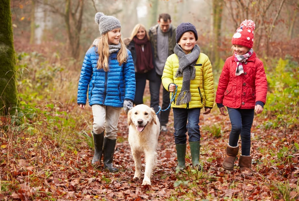 Places to Walk the Dog in Coventry