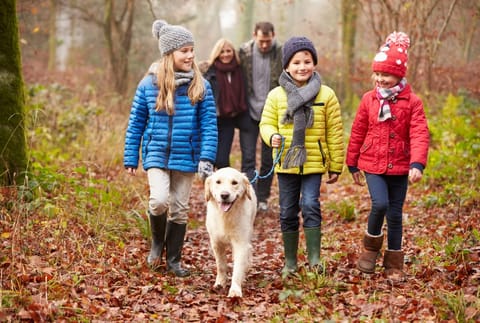 Places to Walk the Dog in Coventry