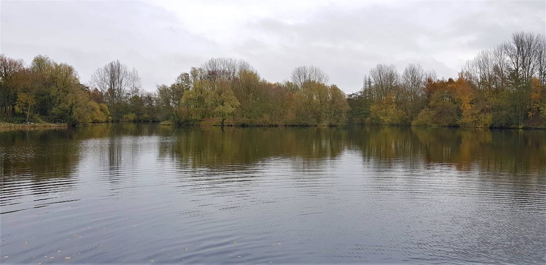 Ryton Pools Country Park - image 1