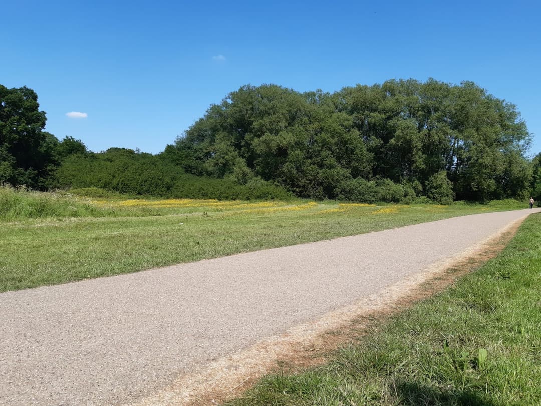 Sheldon Country Park - image 2