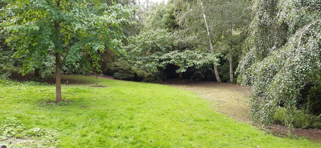 Secret Quarry Garden - image 6