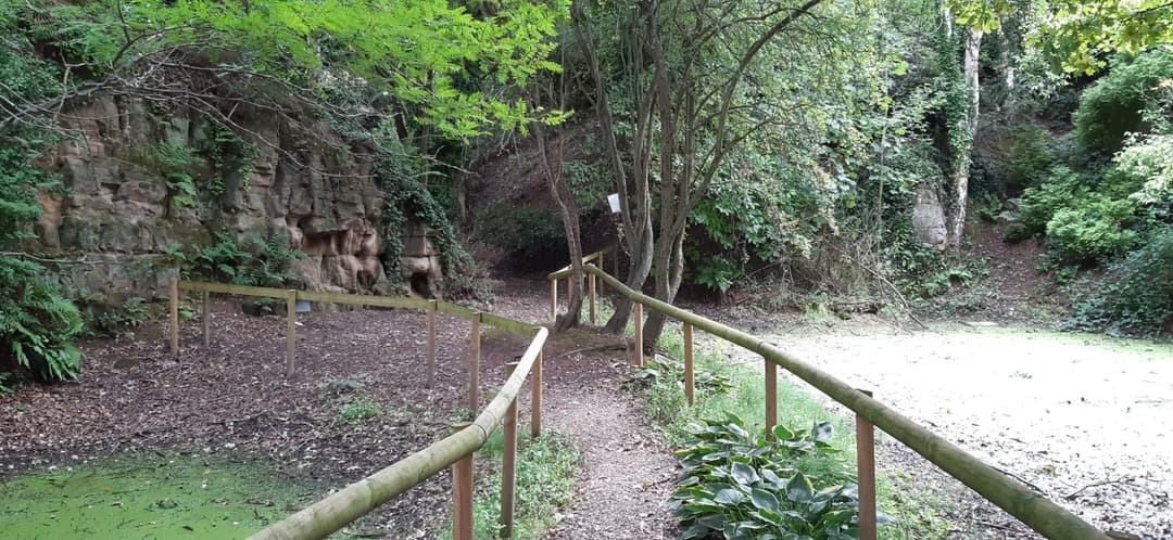 Secret Quarry Garden - image 4