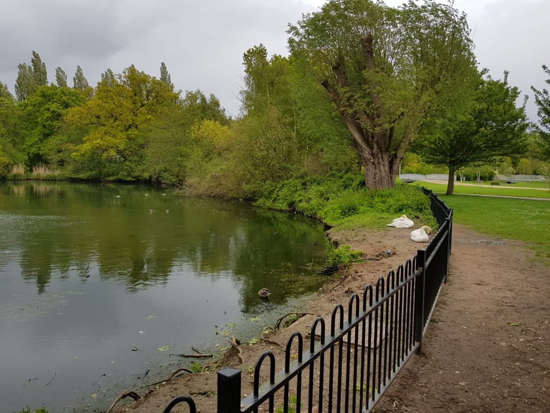 Tudor Grange Park - image 1