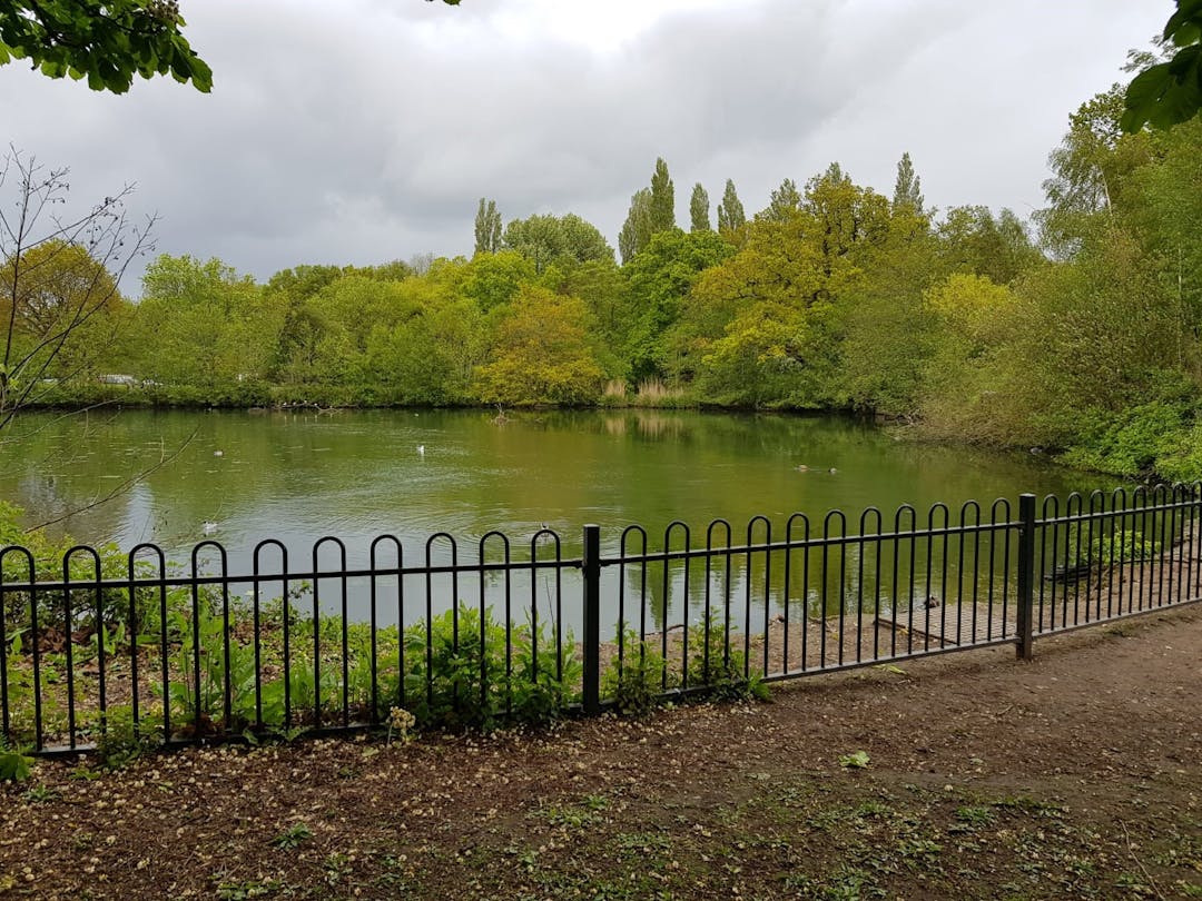 Tudor Grange Park - image 3