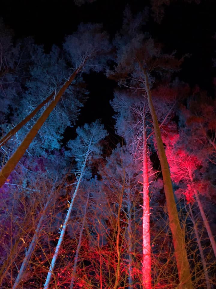 Luminate Coombe 2025 - image 3