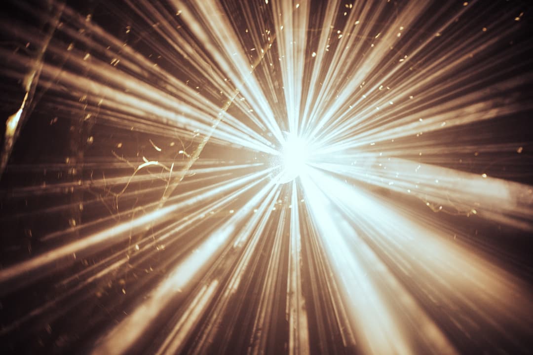 Luminate Coombe 2025 - image 2