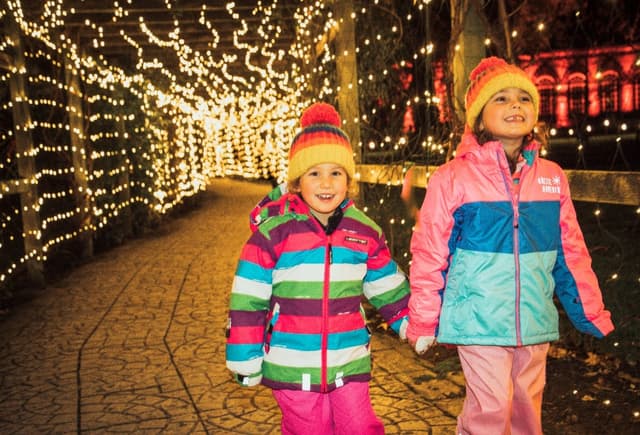 Luminate Coombe 2025