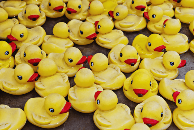 Boxing Day Duck Race | Kenilworth