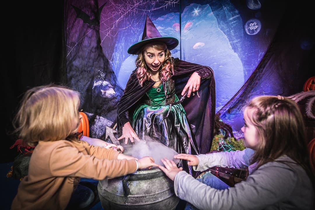 Ascarium: Tricks & Treats - image 1