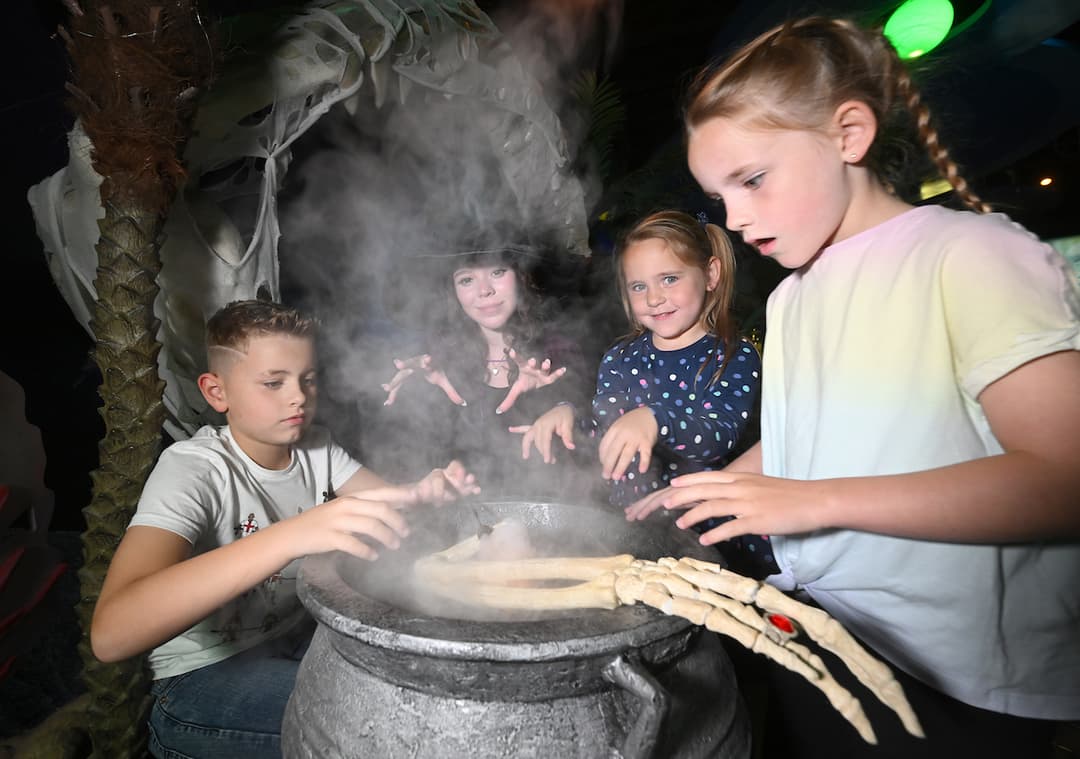 Ascarium: Tricks & Treats - image 1