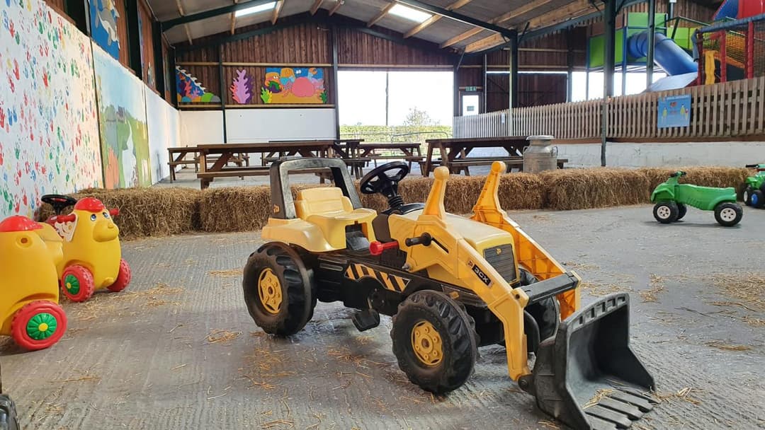 Animal Antics | Lower Drayton Farm - image 2
